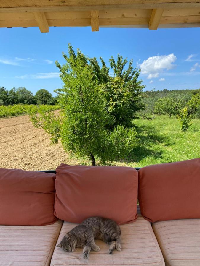 Dubravice Guest Accommodation Grozdanic מראה חיצוני תמונה