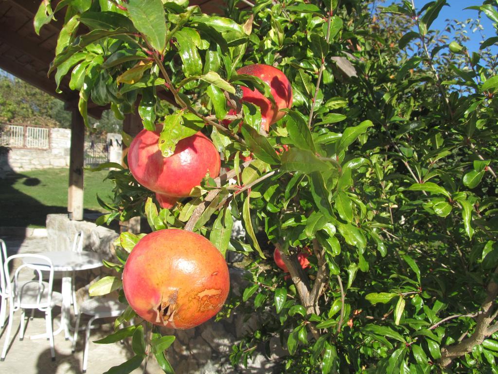 Dubravice Guest Accommodation Grozdanic מראה חיצוני תמונה